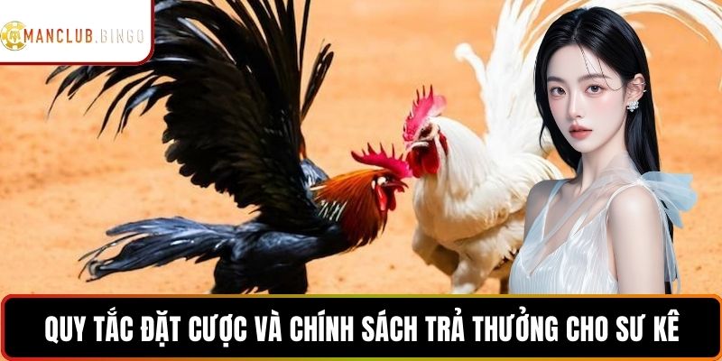 Quy tắc đặt cược và chính sách trả thưởng cho sư kê